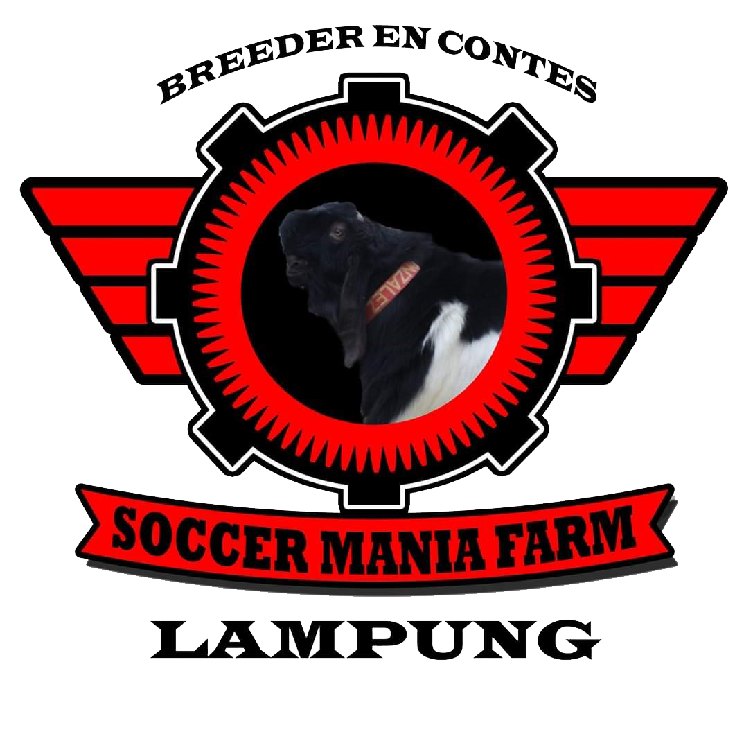Logo CV Soccer Mania Farm